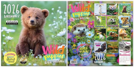 Kalendarz Classic Q WILD PUPPIES / Dzikie słodziaki  2026