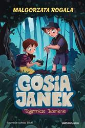 Gosia i Janek. Tajemnicze kamienie