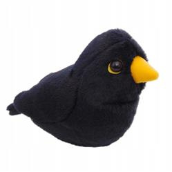 Ptaszek z dźwiękiem Kos