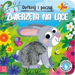 Dotknij i poczuj. Zwierzęta na łące