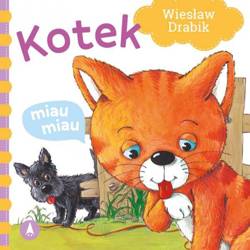 Kotek miau, miau. Książeczka kartonowa