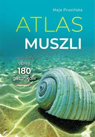 Atlas muszli wydanie 2023