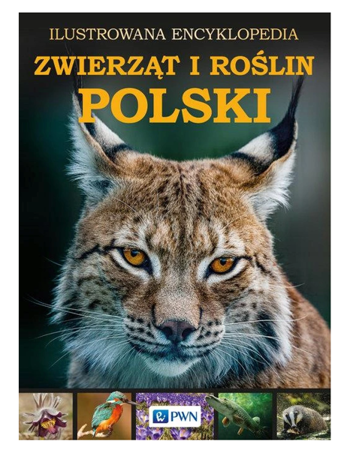 Ilustrowana encyklopedia zwierzat i roślin Polski