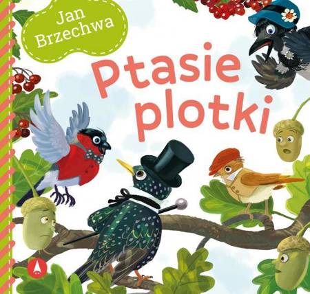 Ptasie plotki  książeczka kartonowa