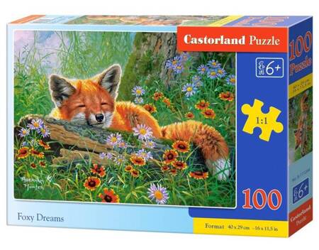 Puzzle 100 Foxy Dreams