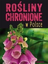 Rośliny chronione w Polsce.