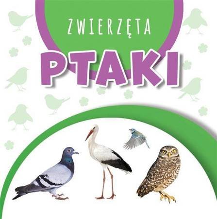 Wstęgi kartonowe - Ptaki