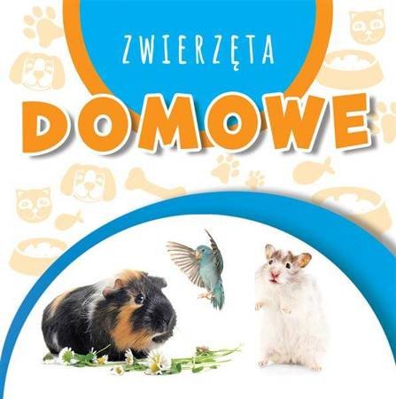 Wstęgi kartonowe - Zwierzęta domowe