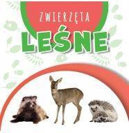 Wstęgi kartonowe - Zwierzęta leśne