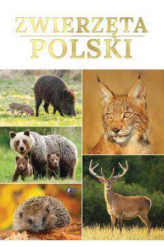 Zwierzęta Polski